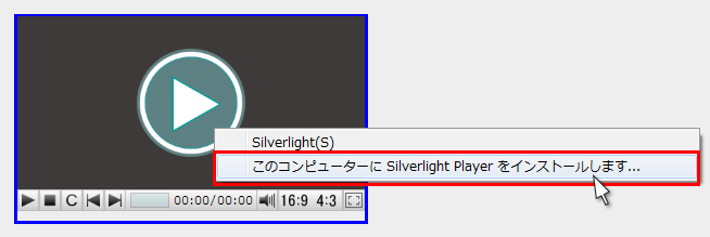 プレイヤーを右クリックした時の表示例